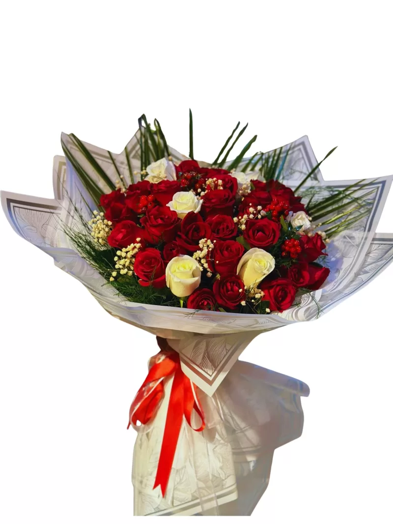 Kırmızı Ve Beyaz Güller Rüyası