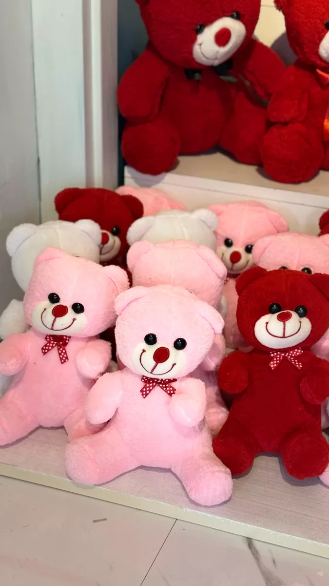 Sevimli Ayıcık 20 CM  KIRMIZI