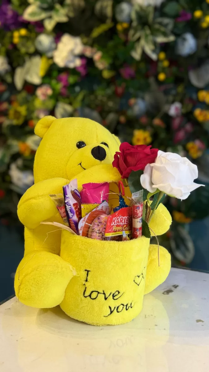 Kutulu Ayıcık Çikolatalı 27 CM SARI