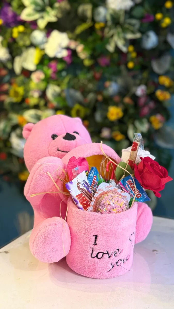 Kutulu Ayıcık Çikolatalı 27 CM PEMBE